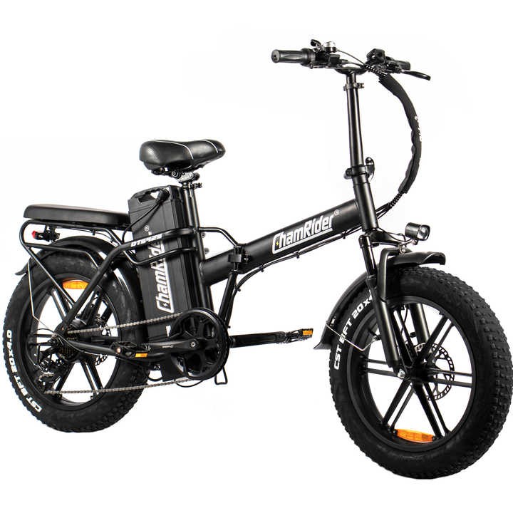 ChamRider Factory Price Delivery Electric City Bike 48v25ah 750w 20inch Fatbike Electric Snow Bike Fast Electric Bicycle Fatbike