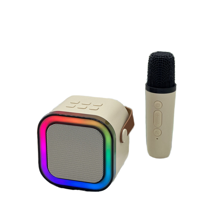 Portable Mini USB BT Karaoke Speaker RGB LED Wireless Microphones Rechargeable Battery Home Party Low Price Manufacturer
